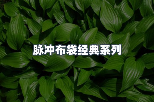 脉冲布袋经典系列