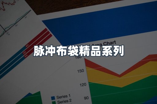 脉冲布袋精品系列